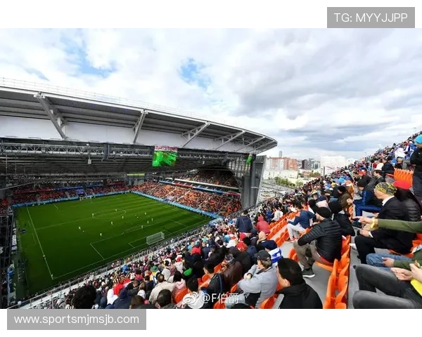 乌拉圭世界杯比赛现场氛围与观众体验全景报道